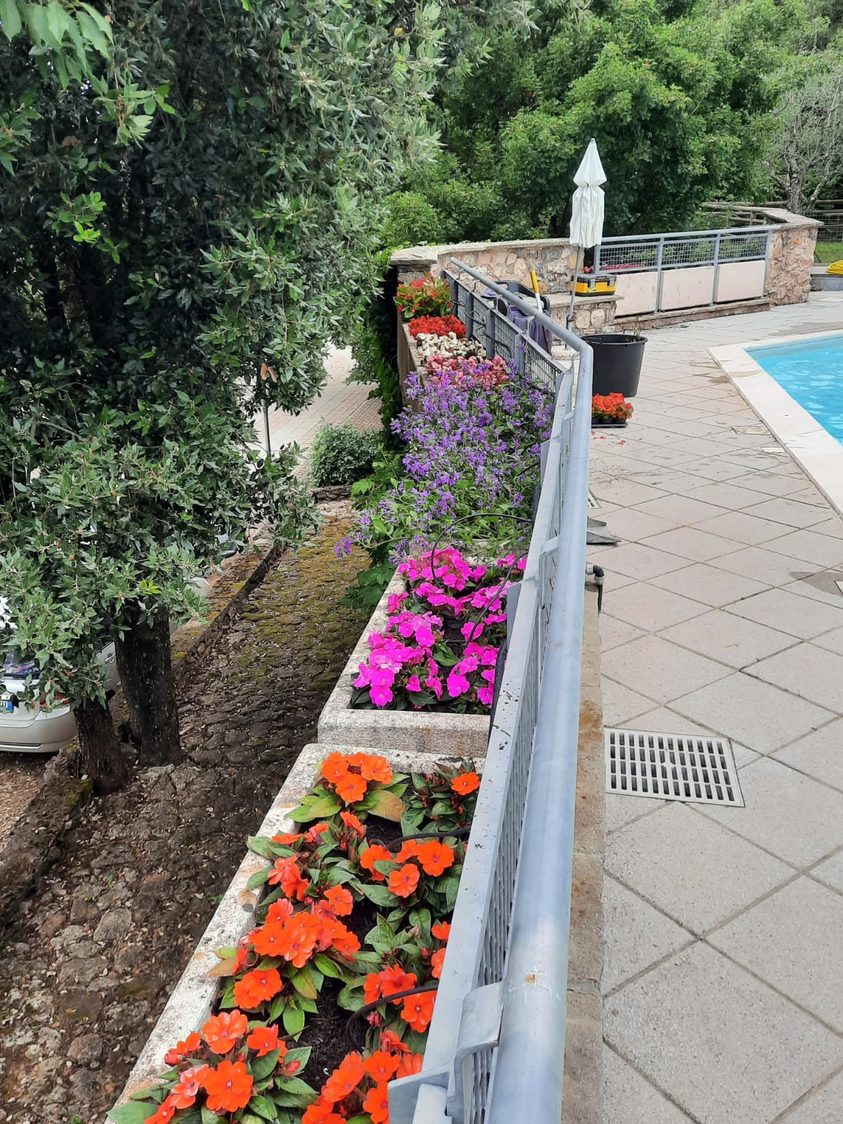 Fioriera decorativa bordo piscina con fiori mediterranei